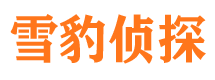 延吉找人公司